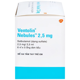Dung dịch khí dung Ventolin Nebules 2.5mg điều trị hen phế quản (6 vỉ x 5 ống)