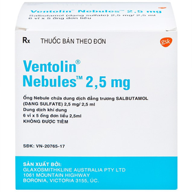 Thuốc Ventolin 5mg/2.5ml điều trị hen nặng cấp tính (6 vỉ x 5 ống)