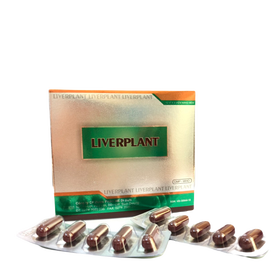 Thuốc Liverplant hỗ trợ điều trị các bệnh về gan (12 vỉ x 5 viên)