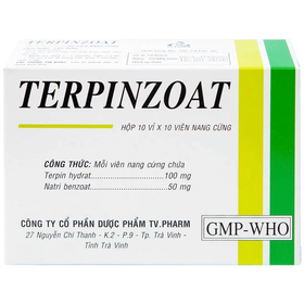 Thuốc Terpinzoat TV.PHARM làm loãng đờm và hỗ trợ điều trị các triệu chứng ho (100 viên)