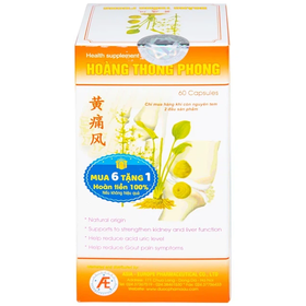 Thực phẩm bảo vệ sức khỏe Hoàng Thống Phong (60 viên)