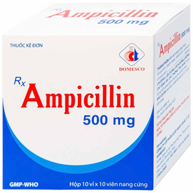 Thuốc Ampicillin 500mg điều trị các trường hợp nhiễm khuẫn (10 vỉ x 10 viên)