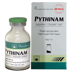 Bột pha tiêm Pythinam điều trị các trường hợp nhiễm khuẩn (20 ml)