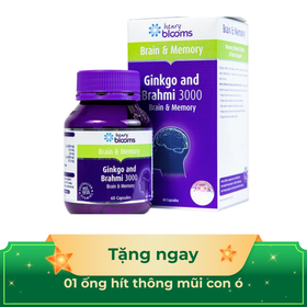 Thực phẩm bảo vệ sức khỏe Ginkgo and Brahmi 3000 (60 viên)