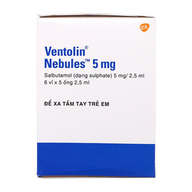 Thuốc Ventolin 5mg/2.5ml