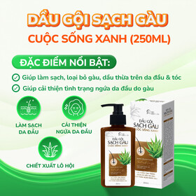 Dầu Gội Sạch Gàu Cuộc Sống Xanh 250ml