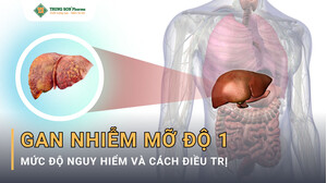 Gan Nhiễm Mỡ Độ 1 Là Gì? Mức Độ Nguy Hiểm Và Cách Điều Trị