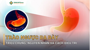 Trào Ngược Dạ Dày Thực Quản (GERD): Nguyên Nhân, Triệu Chứng Và Mẹo Làm Giảm Trào Ngược Dạ Dày