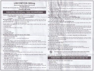 Thuốc Lincomycin STD 500mg điều trị nhiễm khuẩn tai mũi họng, phế quản, phổi