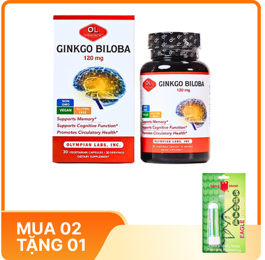Thực phẩm bảo vệ sức khoẻ viên nang Ginkgo Biloba 120mg (30 viên)