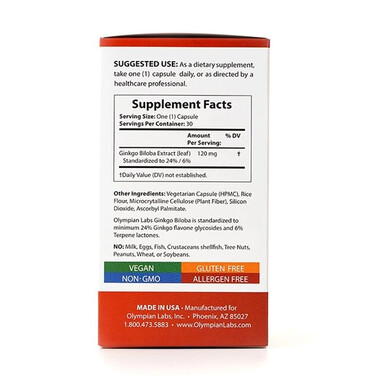 Thực phẩm bảo vệ sức khoẻ viên nang Ginkgo Biloba 120mg (30 viên)