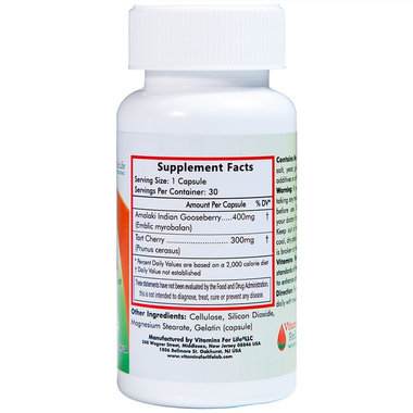 Thực phẩm bảo vệ sức khỏe Gout Aid (30 viên)