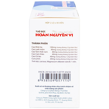 Thực phẩm bảo vệ sức khỏe Tuệ Đức Hoàn Nguyên Vị (80 viên)