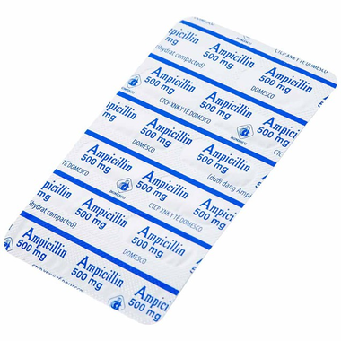 Thuốc Ampicillin 500mg điều trị các trường hợp nhiễm khuẫn (10 vỉ x 10 viên)