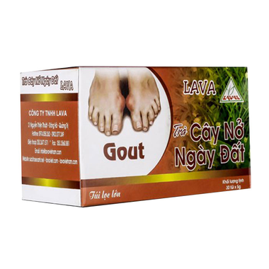 Trà túi lọc Cây Nở Ngày Đất Lava hỗ trợ điều trị gout (5g x 30 gói)