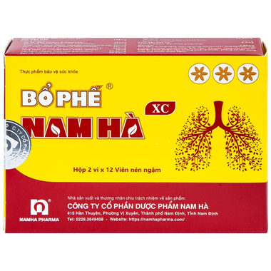 Thuốc Ho Bổ Phế Nam Hà Ngậm tiêu đờm, bổ phổi, sát trùng họng (2 vỉ x 12 viên)