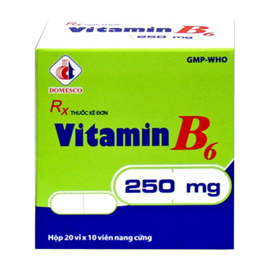 Thuốc Vitamin B6 250mg Domesco điều trị thiếu máu (20 vỉ x 10 viên)