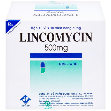 Thuốc Lincomycin STD 500mg điều trị nhiễm khuẩn tai mũi họng, phế quản, phổi