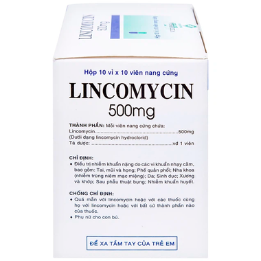 Thuốc Lincomycin STD 500mg điều trị nhiễm khuẩn tai mũi họng, phế quản, phổi