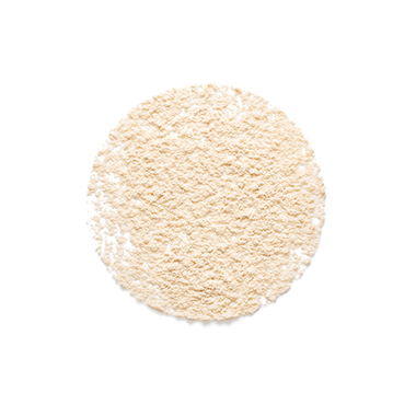 Phấn phủ dạng bột Synchro Skin Invisible Silk Loose Powder