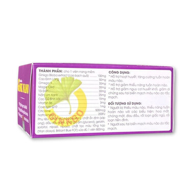 Gink Nano - Viên bổ não (Hộp x 100 viên)