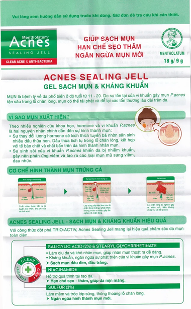 Gel Acnes Sealing Jell hỗ trợ sạch mụn, kháng khuẩn (18g)