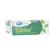 Thuốc Giloba 40mg hỗ trợ điều trị suy tuần hoàn não (30 viên)