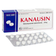 Thuốc  Kanausin 10mg Khánh Hòa điều trị triệu chứng nôn và buồn nôn (2 vỉ x 20 viên)