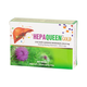 Thuốc Hepaqueen Gold điều trị gan nhiễm mỡ, rối loạn chức năng gan mạn tính (6 vỉ x 10 viên)