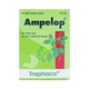Thuốc Ampelop 625mg điều trị viêm loét dạ dày, hành tá tràng (9 vỉ x 10 viên)
