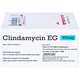 Thuốc Clindamycin EG 300mg Điều Trị Các Bệnh Nhiễm Khuẩn (Hộp 10 Vỉ X 10 Viên)