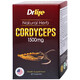 Viên uống Đông Trùng Hạ Thảo Dr Life Natural Herb Cordyceps 1500mg