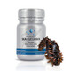 Viên Uống Sea Cucumber Hải Sâm Deep Blue Health (Hộp 100 viên)