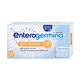 Men ống Enterogermina 4 tỷ/5ml Sanofi điều trị rối loạn hệ vi khuẩn đường ruột (2 vỉ x 10 ống)